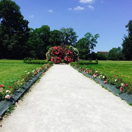 Chateau De Leger Saint-Leger-de-Rotes
